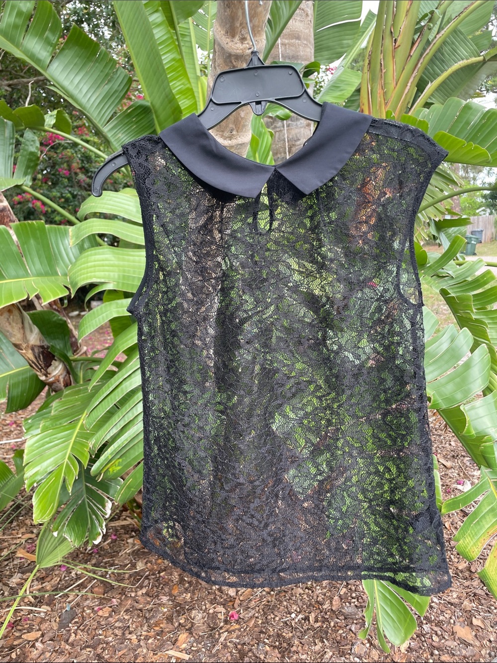 Express sheer lace top with schoolgirl collar